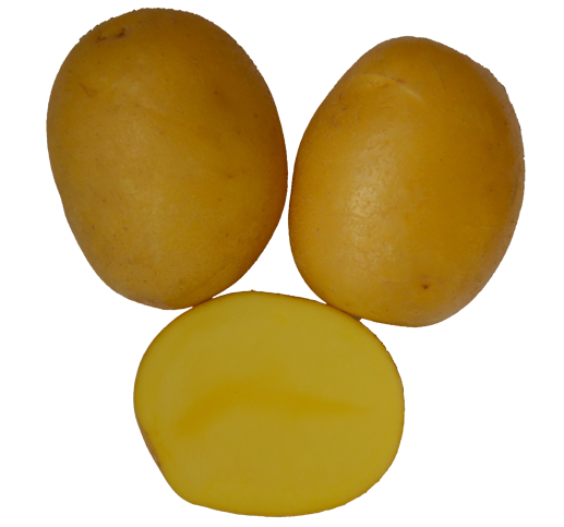 Anuschka Kartoffeln