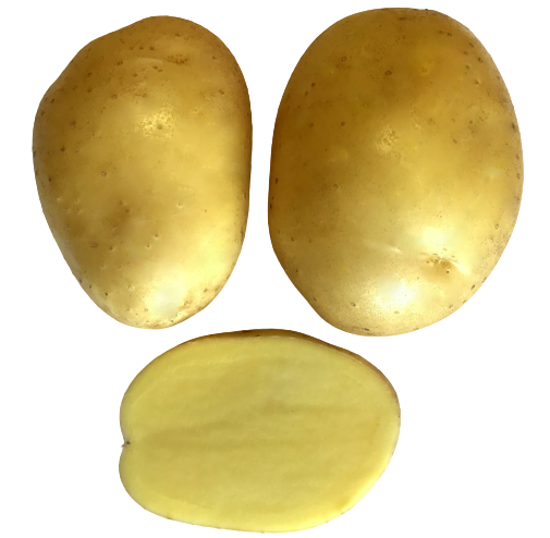 Bernina Kartoffel