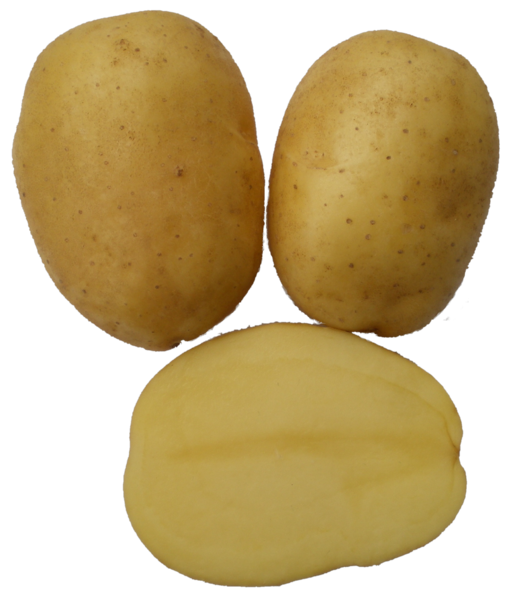 Krone Kartoffel